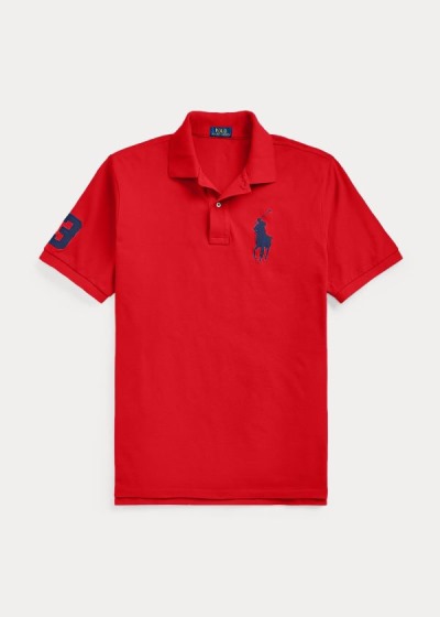 Polo Ralph Lauren Big Pony Mesh Polo Shirt Herre Danmark (JVEOR0637)